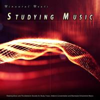 Artwork for Binaural Beats Studying Music: Reading Music and Thunderstorm Sounds for Study, Focus, Ambient Concentration and Brainwave Entrainment Music by Binaural Beats Study Music