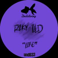 Artwork for Life by Riky Ild