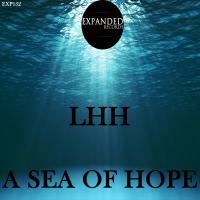 Artwork for A Sea Of Hope by LHH