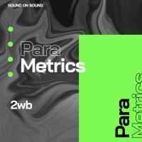 Artwork for Parametrics by 2WB