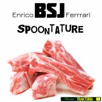 Artwork for Spoontature by Enrico BSJ Ferrari