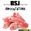 Artwork for Spoontature (Original Mix)