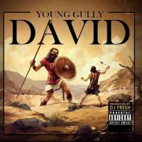 Artwork for David by Young Gully