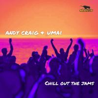 Artwork for Chill Out The Jams by Andy Craig