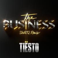 Artwork for The Business (SWACQ Remix) by Tiësto