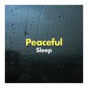 Artwork for White Noise Sleep (Original Mix)