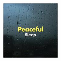 Artwork for Peaceful Sleep by Rain Sounds