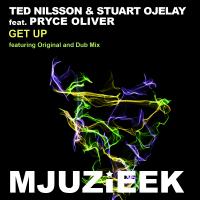 Artwork for Get Up by Ted Nilsson