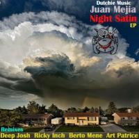 Artwork for Night Satin by Juan Mejia