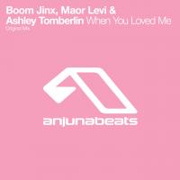 Artwork for When You Loved Me by Boom Jinx