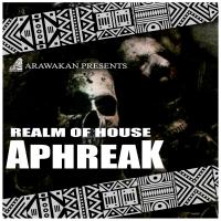 Artwork for Aphreak by Realm of House