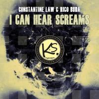 Artwork for I Can Hear Screams by Rico Buda