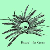 Artwork for Dos Caminos by Binaural