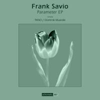 Artwork for Parameter EP by Frank Savio