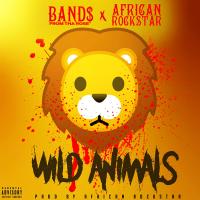 Artwork for Wild Animals (feat. African Rockstar) by 时森band