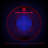 Artwork for Nocturnal EP by Various Artists