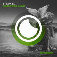 Artwork for Beautiful Mind (Extended Mix) by STEEM SL