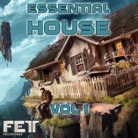 Artwork for Essential House, Vol. 1 by Various Artists