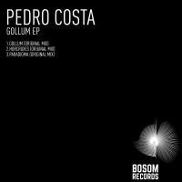 Artwork for Gollum EP by Pedro Costa