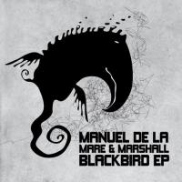 Artwork for Blackbird by Manuel De La Mare