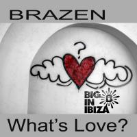 Artwork for What's Love Got To Do With It by Brazen