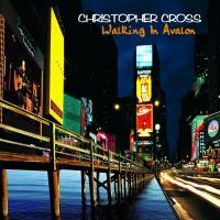 Artwork for Walking in Avalon by Christopher Cross