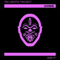 Artwork for Own It by Tru Roots Project