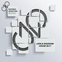 Artwork for House 2K17 by Lion