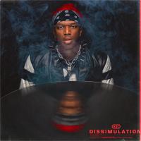 Artwork for Dissimulation by KSI