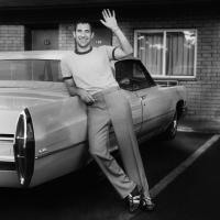 Artwork for Alma Mater by Bleachers