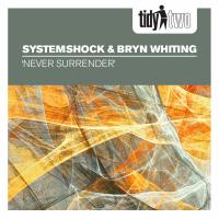 Artwork for Never Surrender by SystemShock