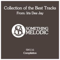 Artwork for Collection of the Best Tracks From: Iris Dee Jay by Iris Dee Jay