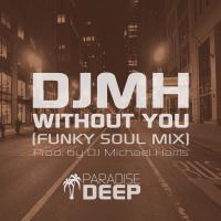 Artwork for Without You (Funky Soul Mix) by DJ Michael Harris