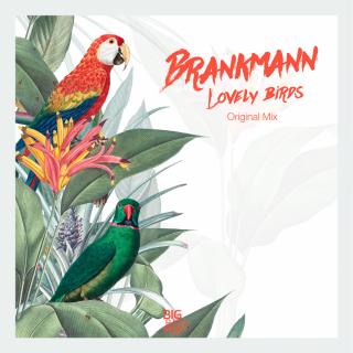 Artwork for Lovely Birds (Original Mix)