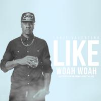Artwork for Like Woah Woah (feat. Kennyon Brown & Ironic The King) by Louie Valentino