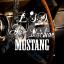 Artwork for Mustang (Original Mix)
