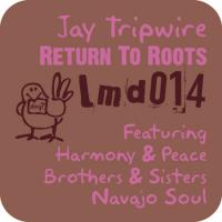 Artwork for Return To Roots by Jay Tripwire