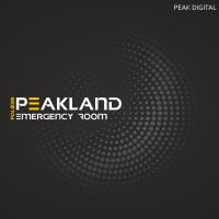 Artwork for Emergency Room by Peakland