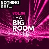 Artwork for Nothing But... That Big Room Sound, Vol. 06 by Various Artists