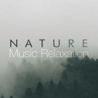 Artwork for Nature Music Relaxation by Nature Sounds Nature Music