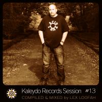 Artwork for Kaleydo Records Session #13 by Various Artists