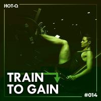 Artwork for Train To Gain 014 by Various Artists