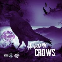 Artwork for Crows (Slowed & Chopped) by Monsterr