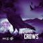 Artwork for Crows (Slowed & Chopped)