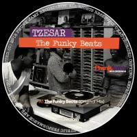 Artwork for The Funky Beats by Tzesar