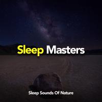 Artwork for Sleep Masters by Rain Sounds Sleep