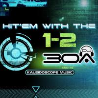 Artwork for Hit'em With The 1-2 by DJ30A