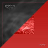 Artwork for True Soul by Subgate