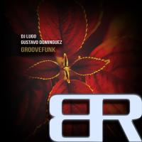 Artwork for Groovefunk by DJ Lugo