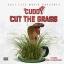 Artwork for Cut the Grass (feat. Zone 28 Grams & Nicole)